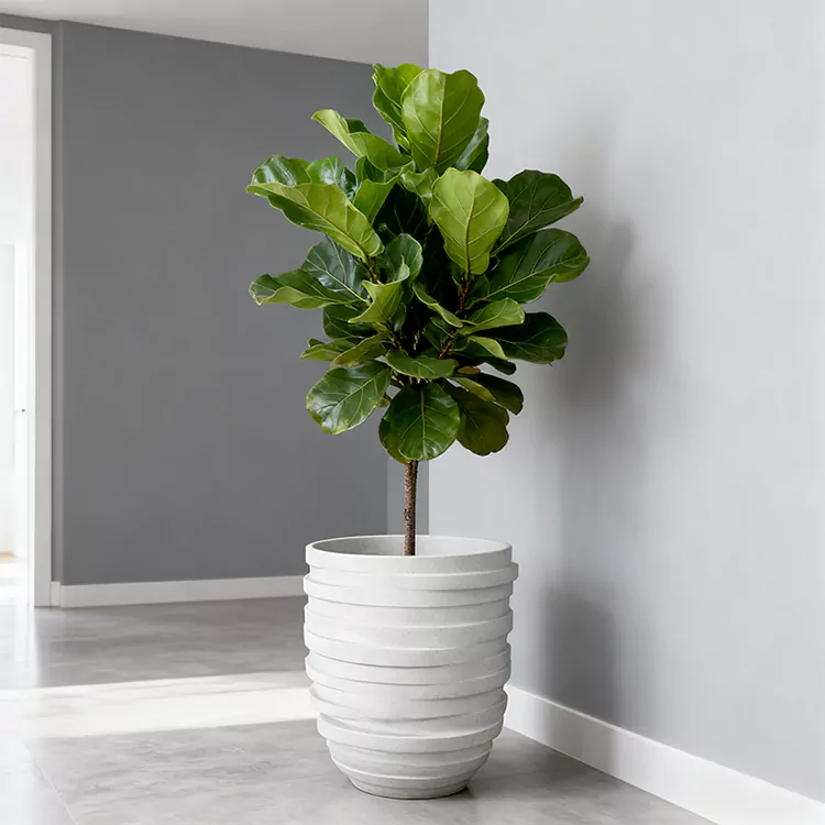 FCustomizable Large Fibreglass Planter